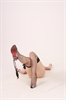 Thumnail / 2 / 30 / 36